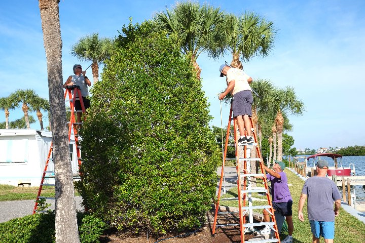 2023 Christmas Decorating at Gulf to Bay - Slide 16