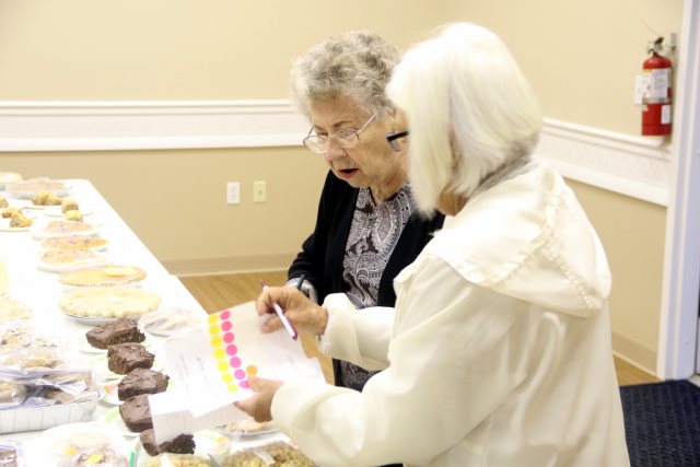 Gulf to Bay Carnival - January 2017 - Slide 9