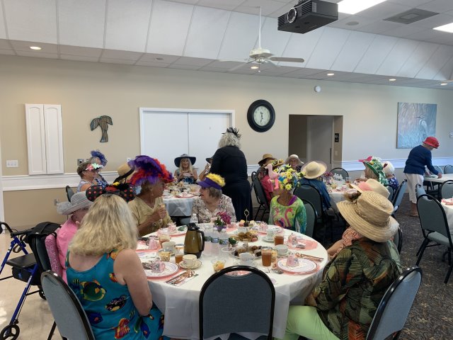 High Tea at Gulf to Bay - 2023 - Slide 18