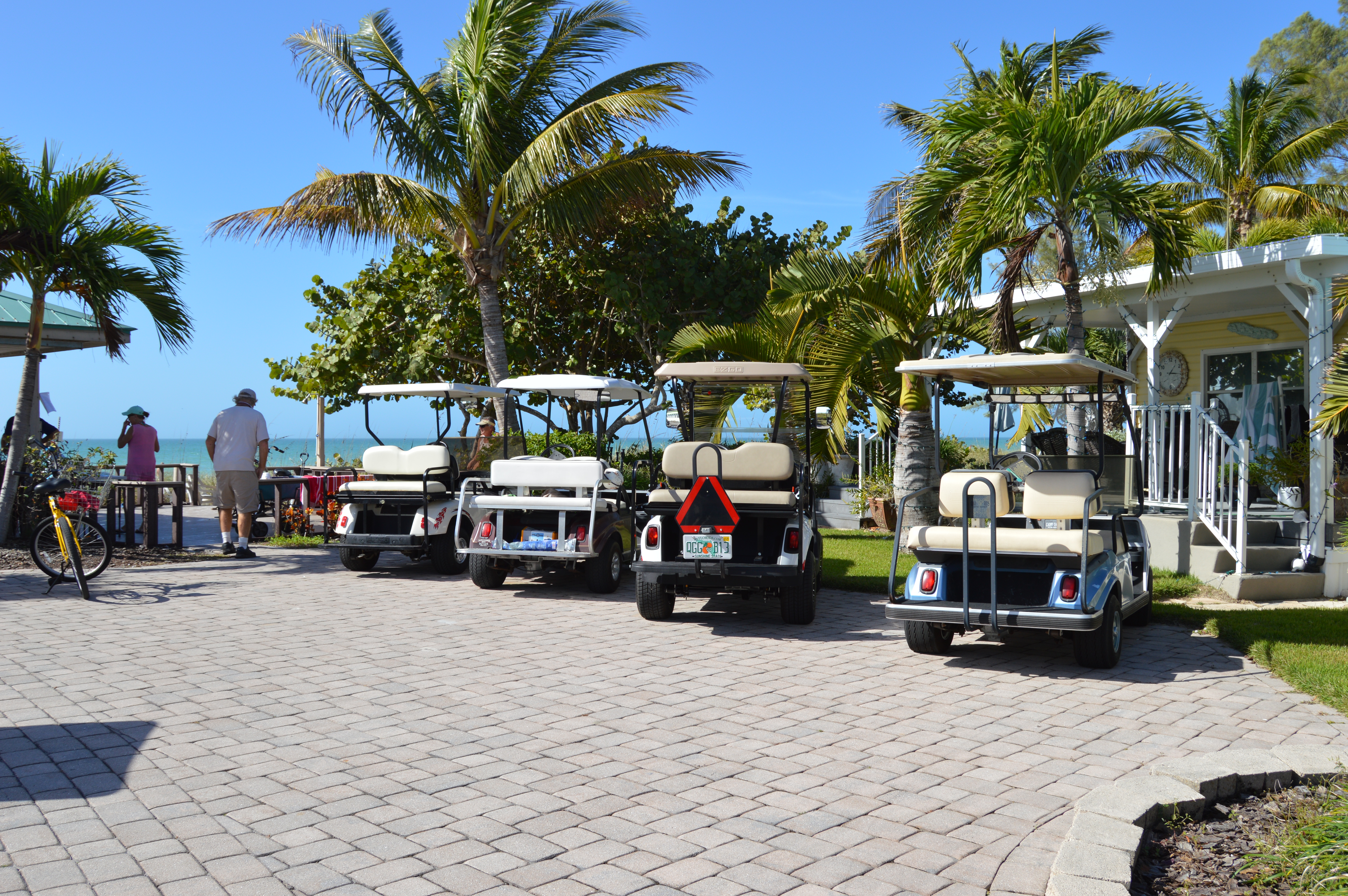 New Years Day Plunge 2021 - Photos by MJ Bishop - Slide 2  