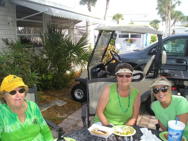 Gulf to Bay - St. Patrick's Day 2016 - Slide 10